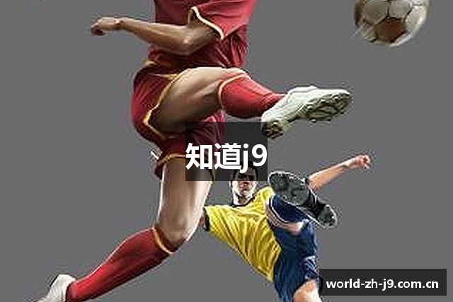 知道j9
